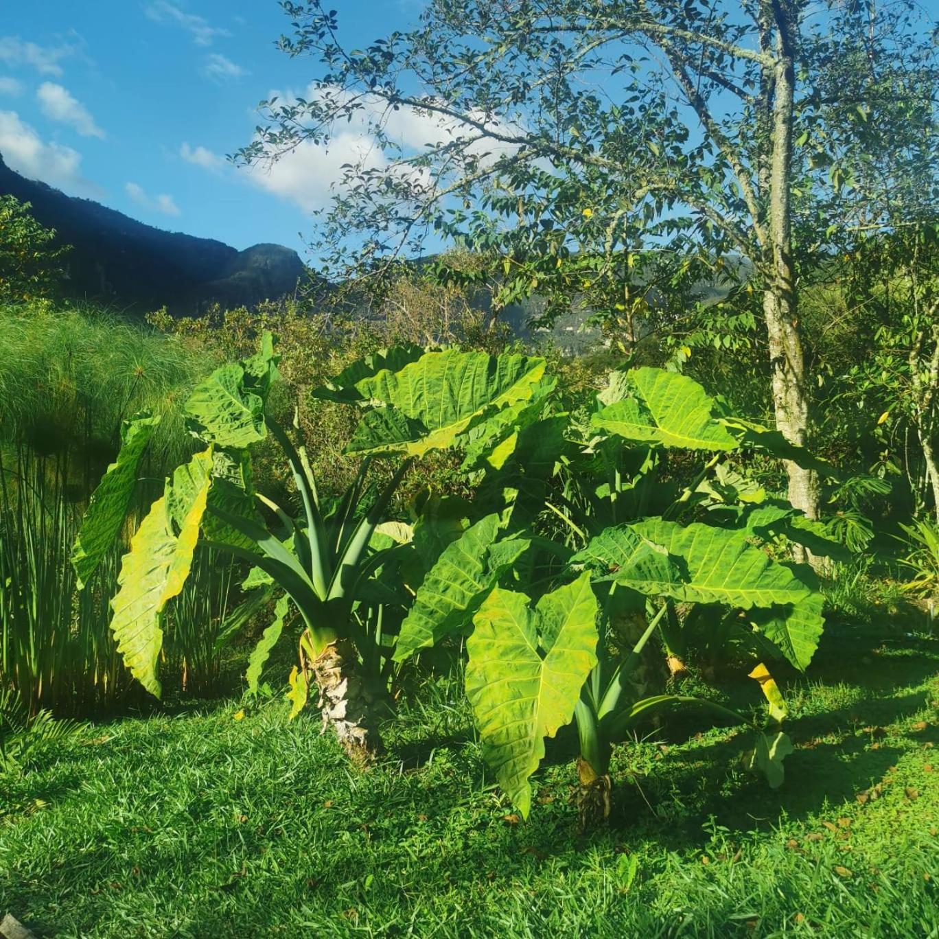 Goctamarca Lodge Cocachimba Bagian luar foto